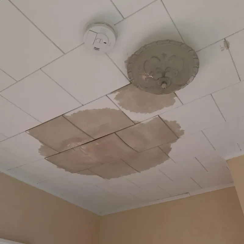 Ceiling Water Damage Repair in Milo, ME